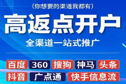 百度竞价排名案例分析：提升网站流量与转化率