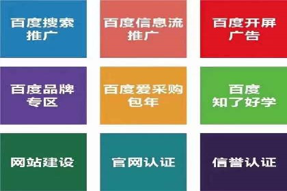 百度SEO推广案例：实战解析与优化建议